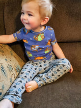 Load image into Gallery viewer, Skinny Pete Pants